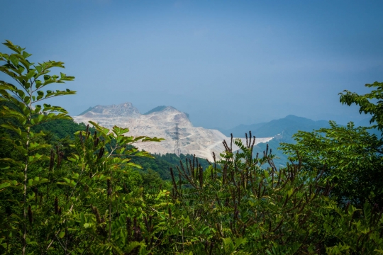 The Koreans are eating this mountain