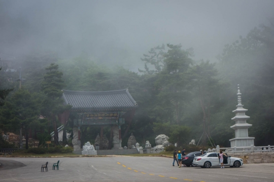 Tempel in the fog