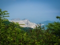 The Koreans are eating this mountain