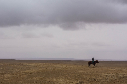 A herder in the Gobi