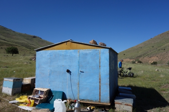 Staying with a beekeeper