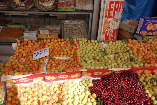 Fresh apricots of Malatya