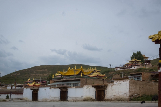 Houses next to Milarepa