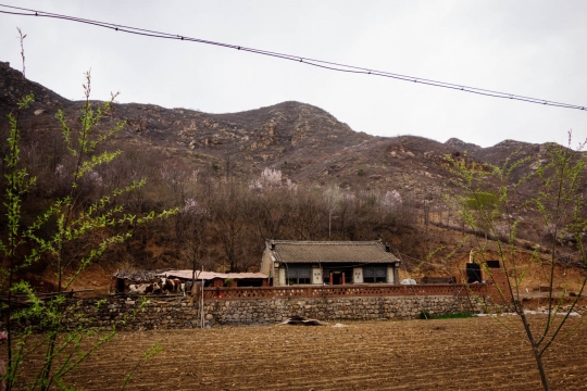 Traditional housing