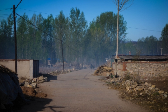 Donkey and cart and smoke from burning garbage