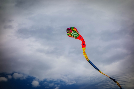 Kites