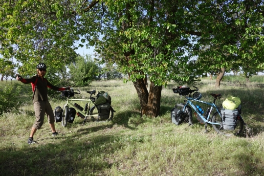 Our camping spot in a field