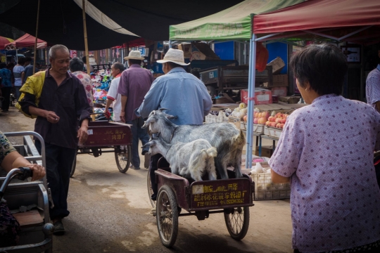Market!