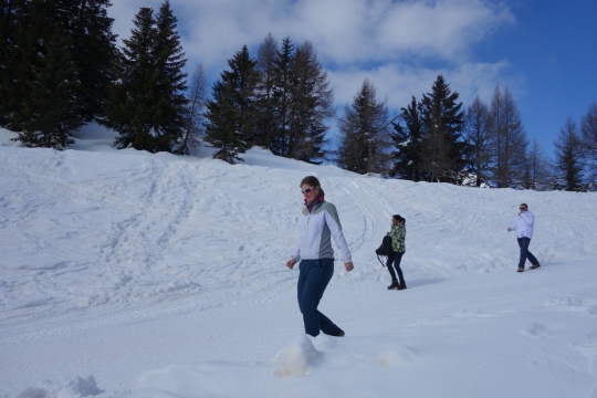 Walking in the snow