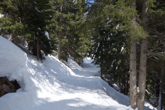A nice trail