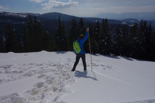 Testing how deep the snow is