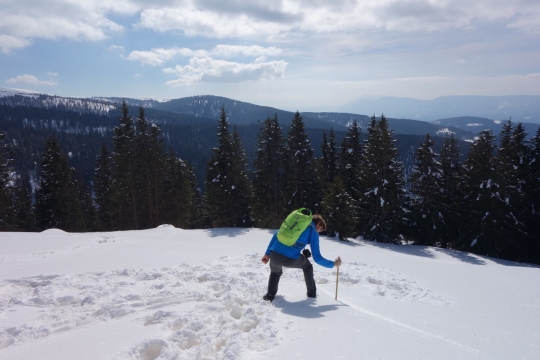 Testing how deep the snow is
