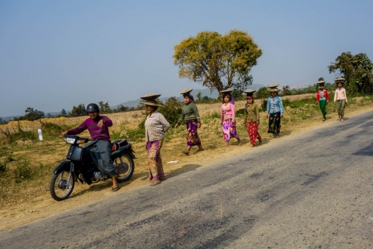 Women working in the fields