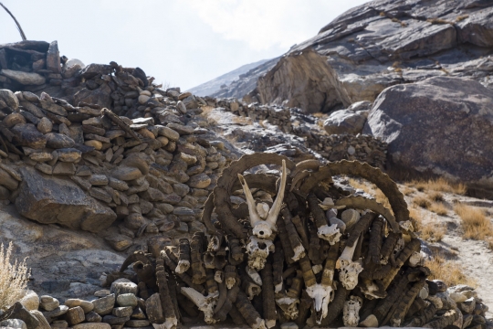 Shrine with Marco Polo sheep