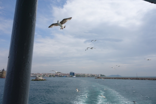View from the ferry