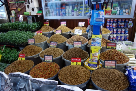 Cat food