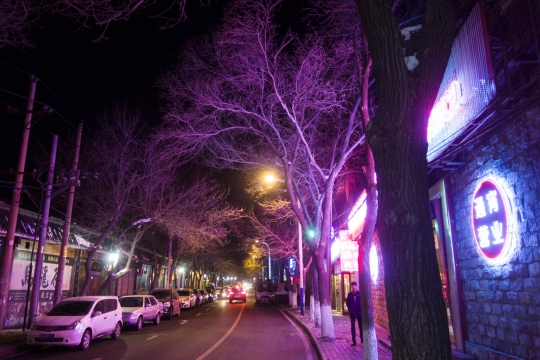 Chinese lit street