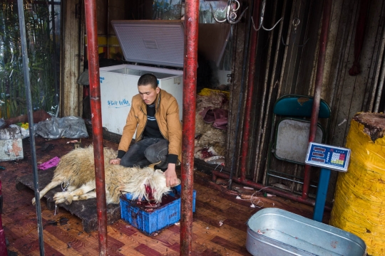 Goat killed at the bazar
