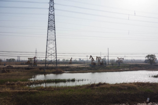 Oil pumps