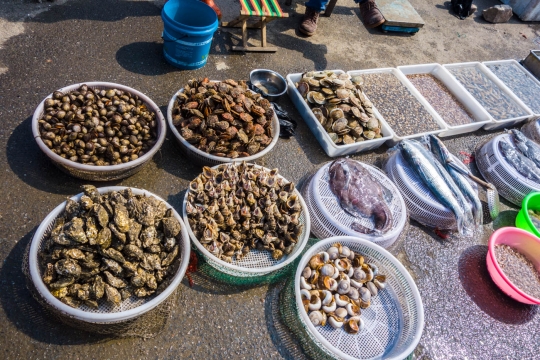 Fish market