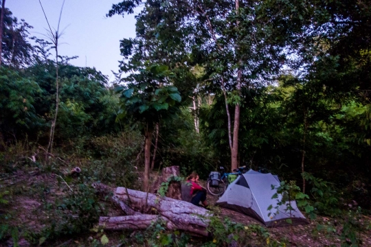 Camping in the jungle