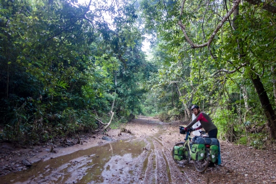 Jungle track