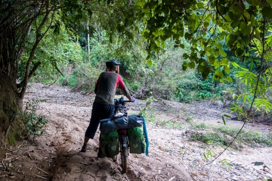 Jungle track