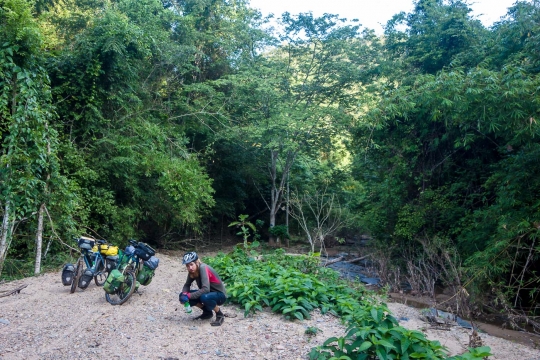 Jungle track