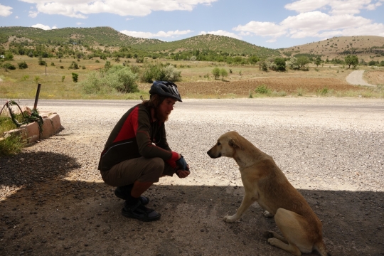 Martin and friendly dog