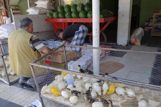 Bazaar in Diyarbakir