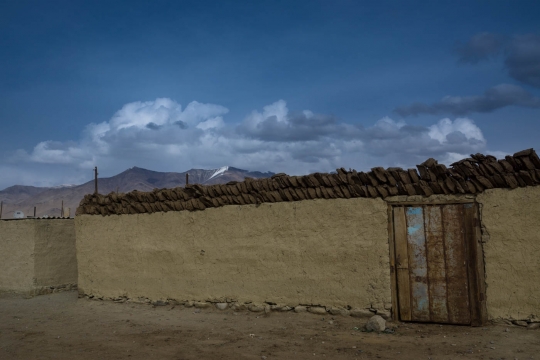 Cow or yak dung for the fire, no trees around