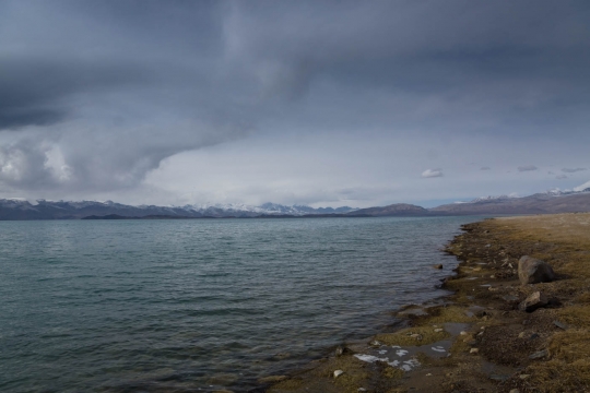 Karakul