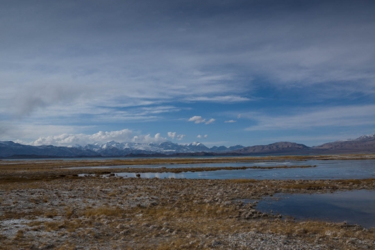 Karakul