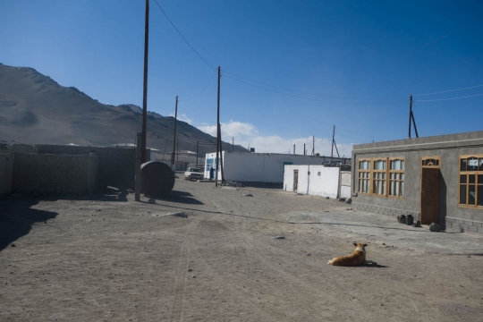 Karakul