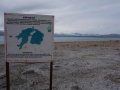 Karakul