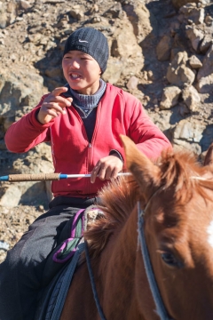 Horse rider guiding pack of horses. Photo by Bertrand.