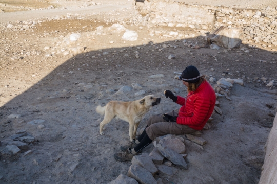 Friendly dog at shelter in Khargush