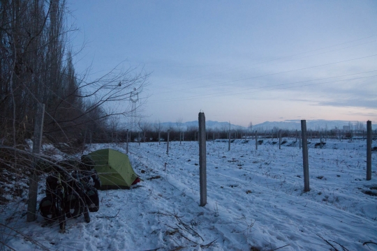 Camping inbetween vines