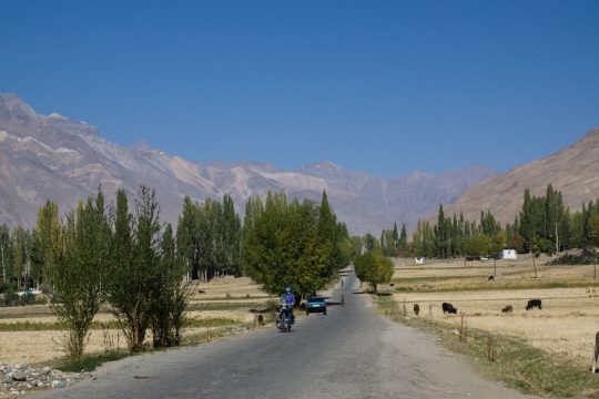 Cycling out of Ishkashim working on the harvest