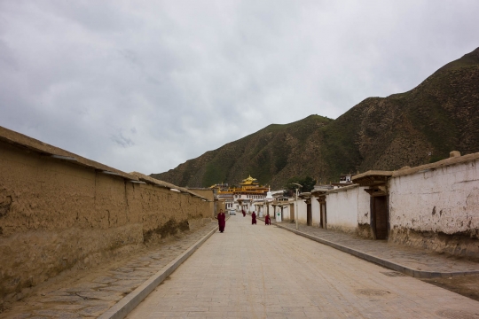 Monks on the streets