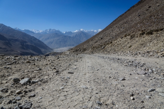 Tracks in the road