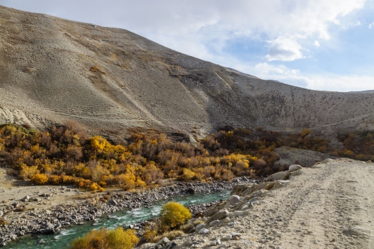 Autumn colours and the Pamir river