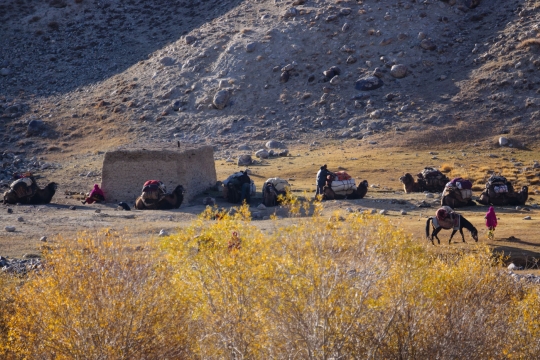 The Afghan camel caravan