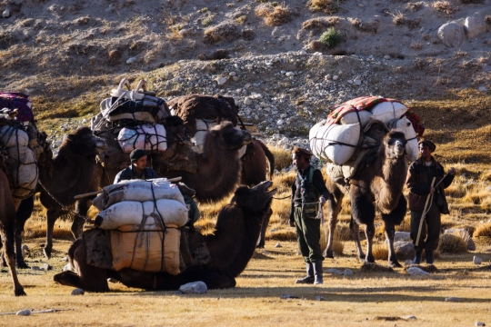 The Afghan camel caravan
