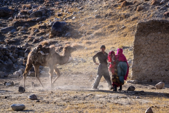 The Afghan camel caravan