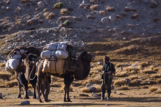 The Afghan camel caravan