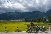 Rice fields near Dali