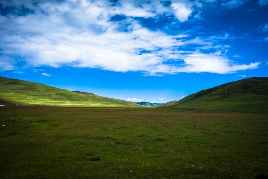 Great view of the grasslands