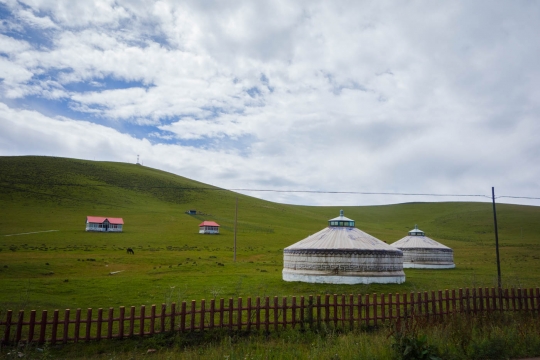 Gers of the grasslands