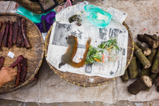 Morning market Luang Prabang